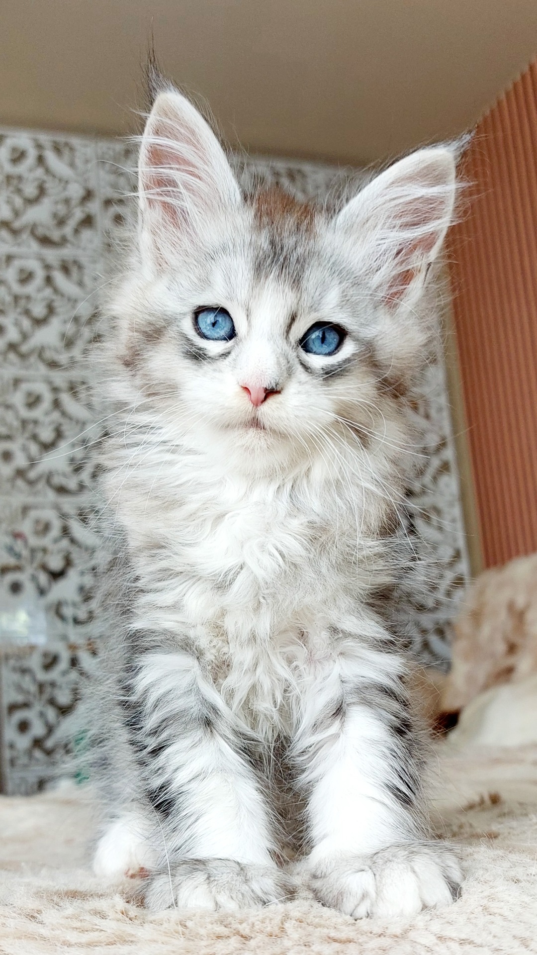 Bella - modrooká holčička ( ns 09 25 61 ) 